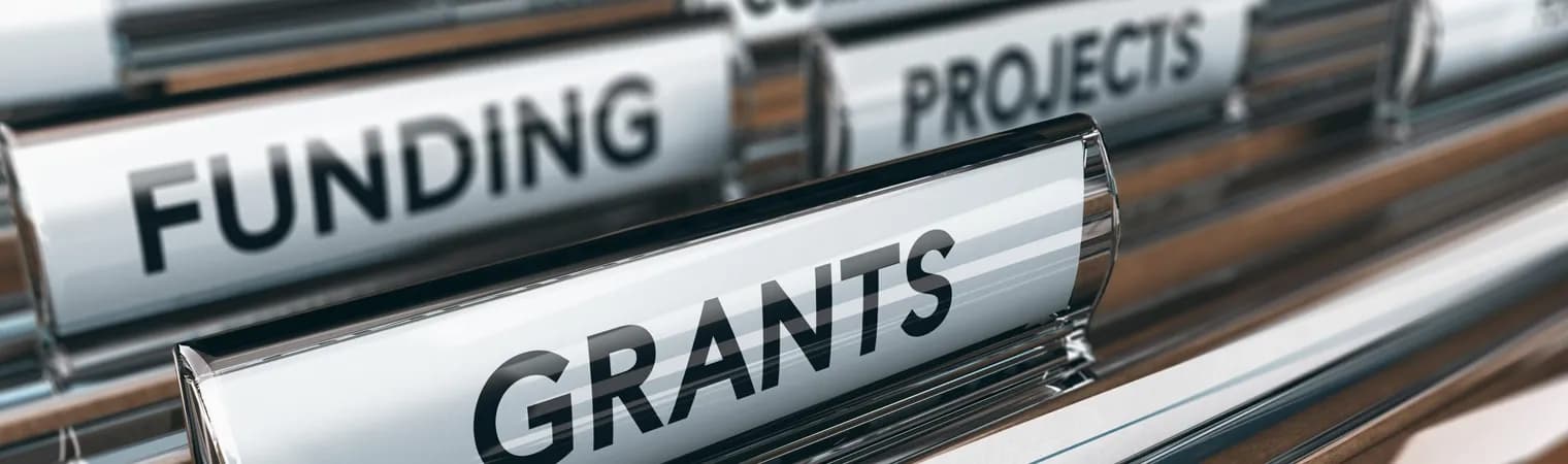 Developing sofware for the government