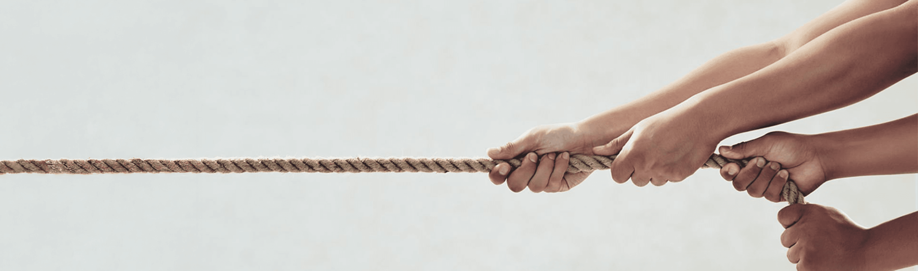 Why the Future of Software Engineering Is AI Collaboration, Not Replacement