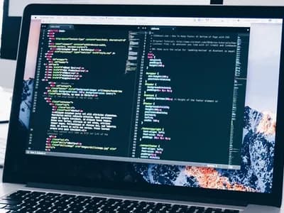 Is One Developer Enough to Bring a Project to Life?