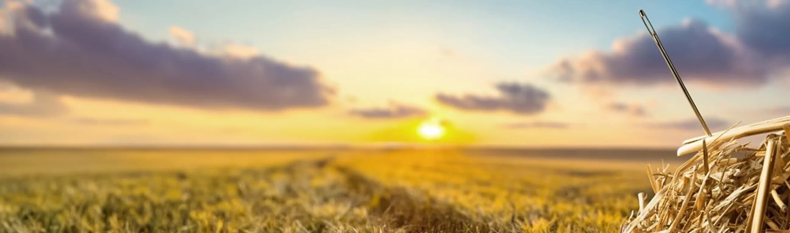 Finding Good Developers in 2024: Challenges & Strategies